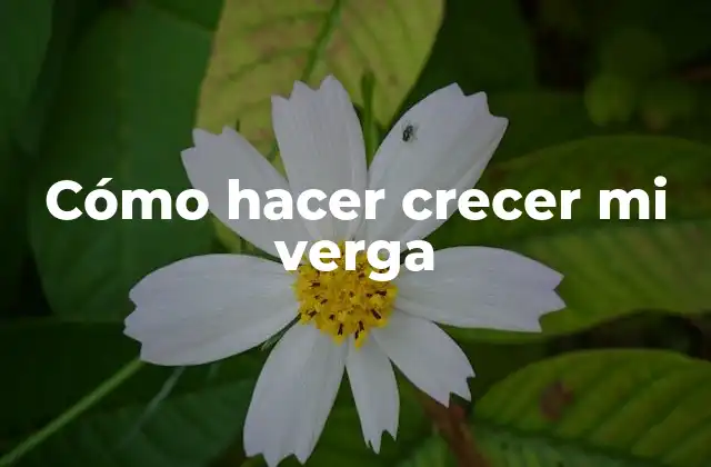 Cómo Hacer Crecer Mi Verga