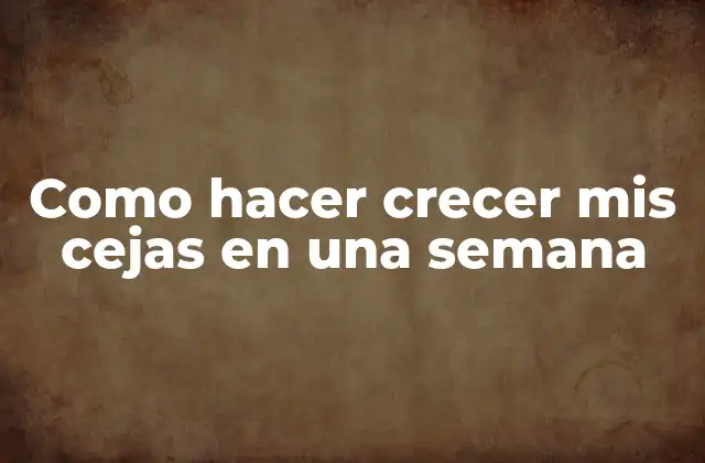 Como Hacer Crecer Mis Cejas en una Semana
