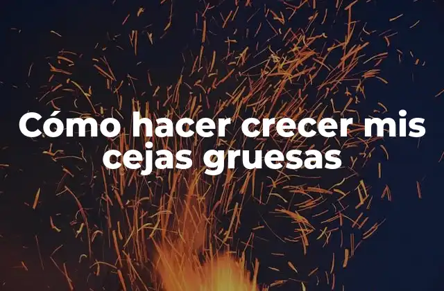 Cómo Hacer Crecer Mis Cejas Gruesas