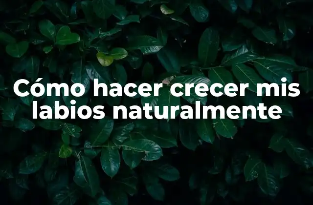 Cómo Hacer Crecer Mis Labios Naturalmente