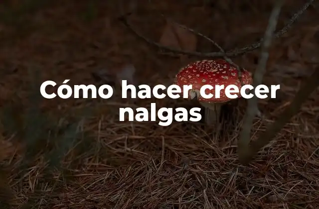 Cómo Hacer Crecer Nalgas 2 Cómo hacer crecer nalgas
