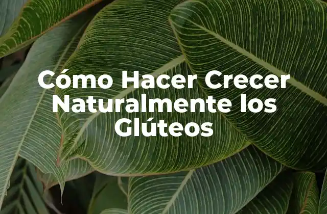 Cómo Hacer Crecer Naturalmente los Glúteos