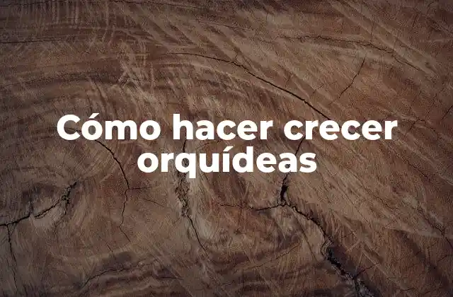 Cómo Hacer Crecer Orquídeas