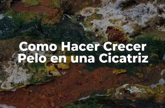 Como Hacer Crecer Pelo en una Cicatriz