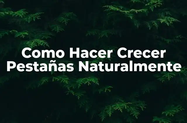 Como Hacer Crecer Pestañas Naturalmente