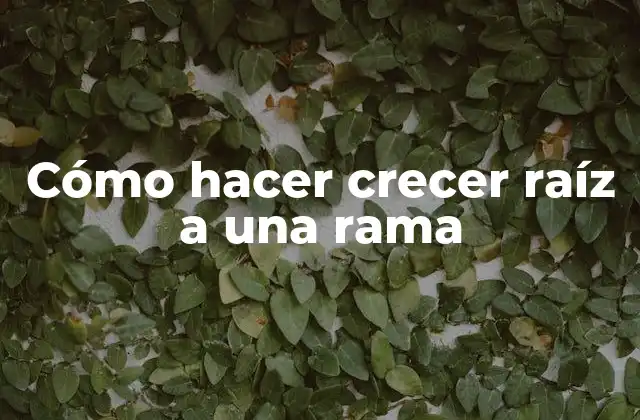 Cómo Hacer Crecer Raíz a una Rama