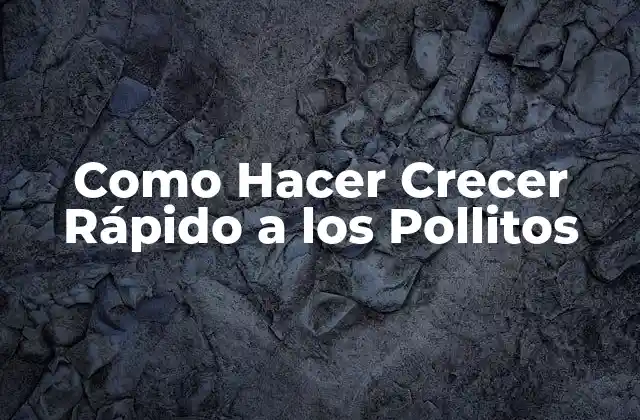 Como Hacer Crecer Rápido a los Pollitos