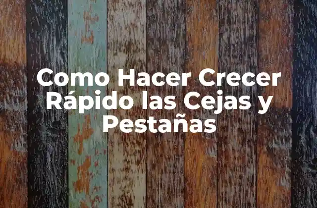 Como Hacer Crecer Rápido las Cejas y Pestañas