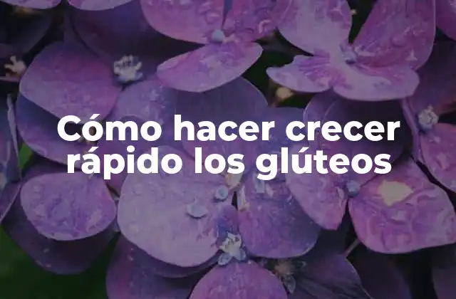 Cómo Hacer Crecer Rápido los Glúteos