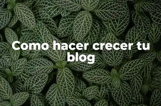 Como Hacer Crecer Tu Blog