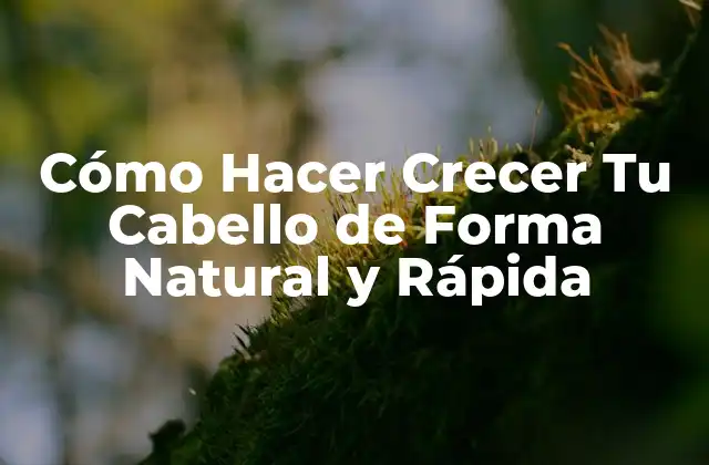 Cómo Hacer Crecer Tu Cabello de Forma Natural y Rápida