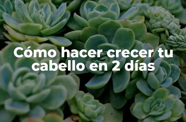 Cómo Hacer Crecer Tu Cabello en 2 Días