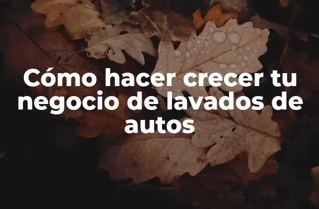 Cómo Hacer Crecer Tu Negocio de Lavados de Autos