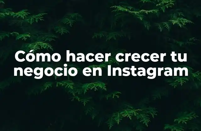 Cómo Hacer Crecer Tu Negocio en Instagram
