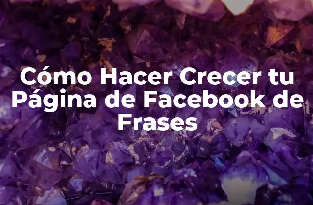 Cómo Hacer Crecer Tu Página de Facebook de Frases