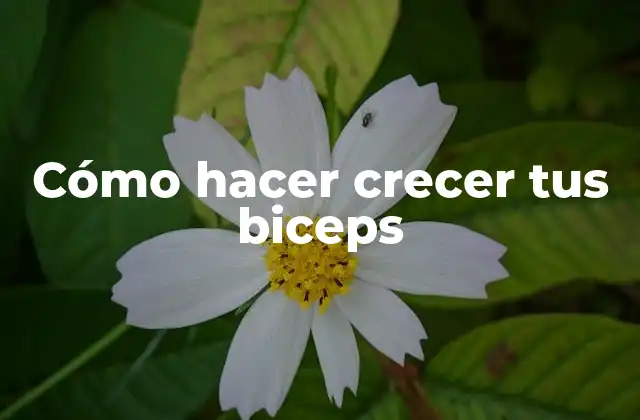 Cómo hacer crecer tus biceps
