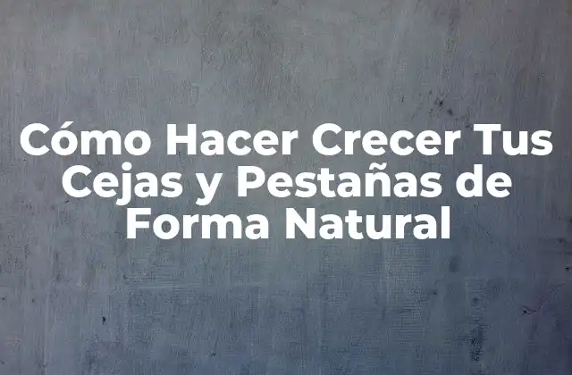 Cómo Hacer Crecer Tus Cejas y Pestañas de Forma Natural