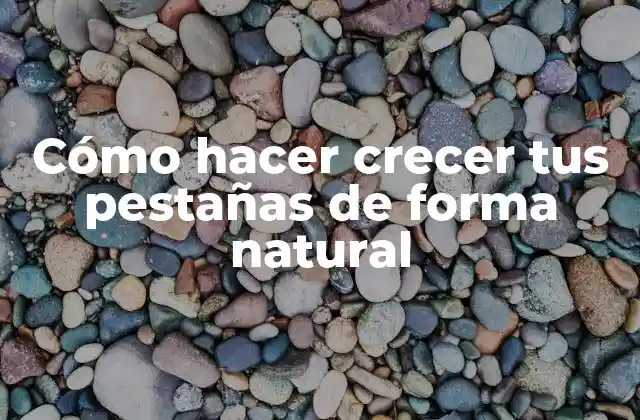 Cómo Hacer Crecer Tus Pestañas de Forma Natural 2 ¿Qué son las pestañas y cómo crecen?
