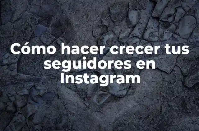 Cómo Hacer Crecer Tus Seguidores en Instagram