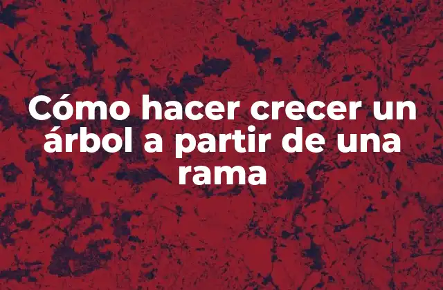 Cómo Hacer Crecer un Árbol a Partir de una Rama