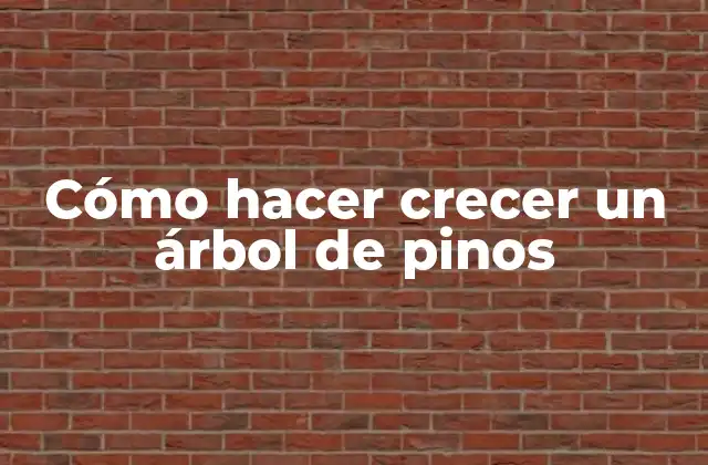 Cómo Hacer Crecer un Árbol de Pinos
