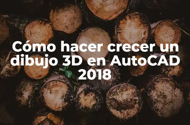 Cómo Hacer Crecer un Dibujo 3d en Autocad 2018