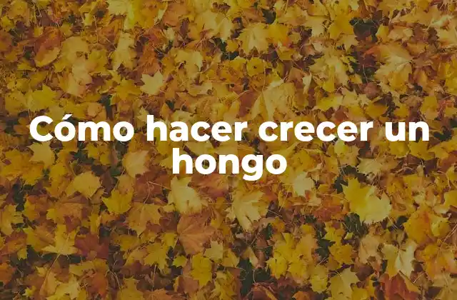 Cómo Hacer Crecer un Hongo