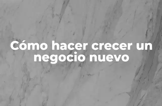 Cómo Hacer Crecer un Negocio Nuevo