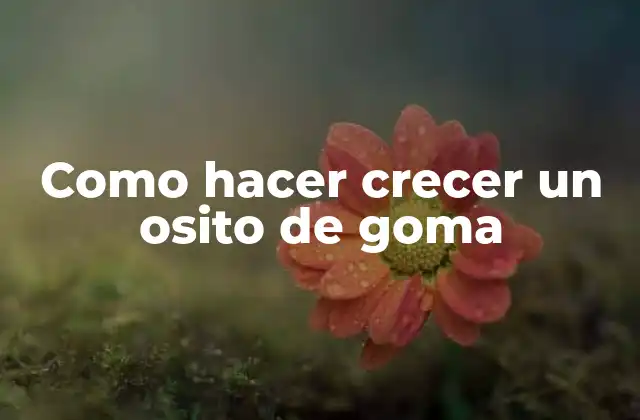 Como Hacer Crecer un Osito de Goma