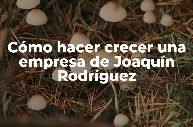 Cómo Hacer Crecer una Empresa de Joaquín Rodríguez