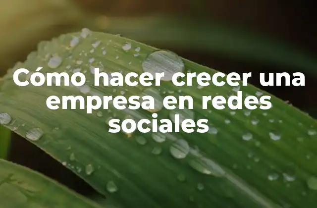 Cómo Hacer Crecer una Empresa en Redes Sociales