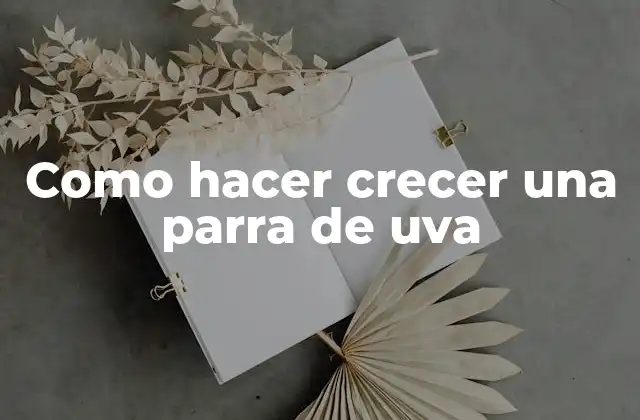 Como Hacer Crecer una Parra de Uva