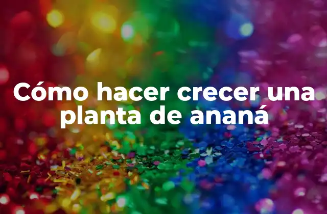 Cómo Hacer Crecer una Planta de Ananá