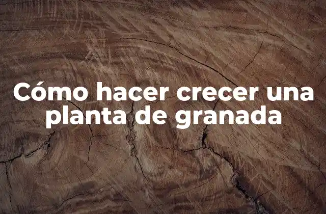 Cómo Hacer Crecer una Planta de Granada