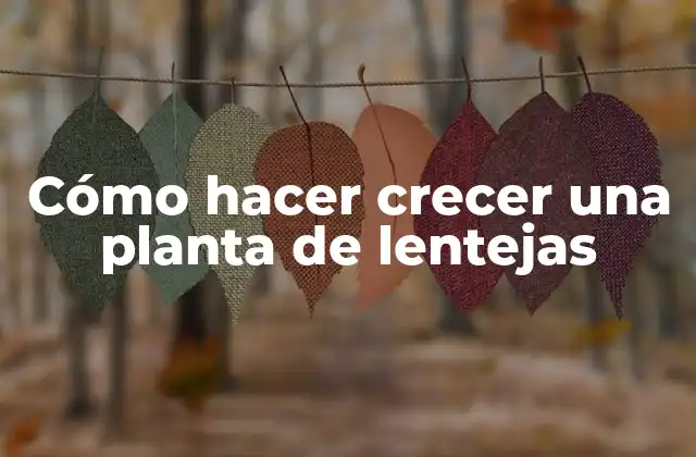 Cómo Hacer Crecer una Planta de Lentejas