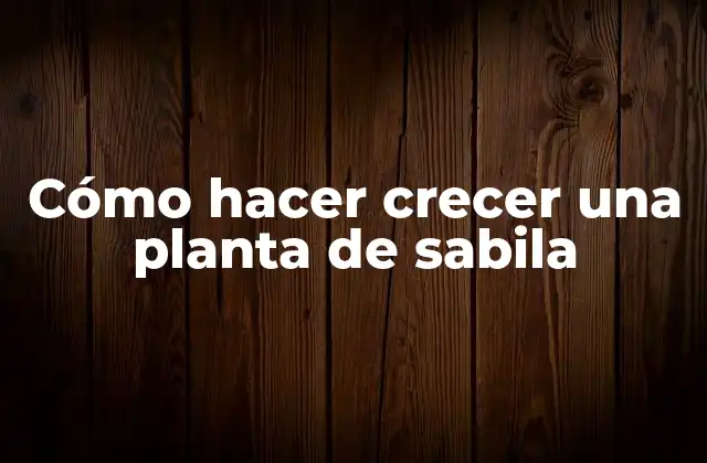 Cómo Hacer Crecer una Planta de Sabila