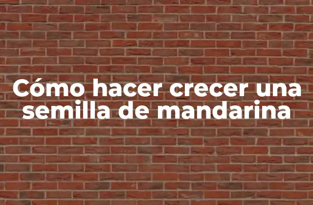 Cómo Hacer Crecer una Semilla de Mandarina