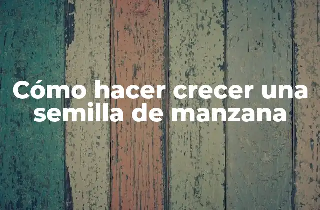 Cómo Hacer Crecer una Semilla de Manzana