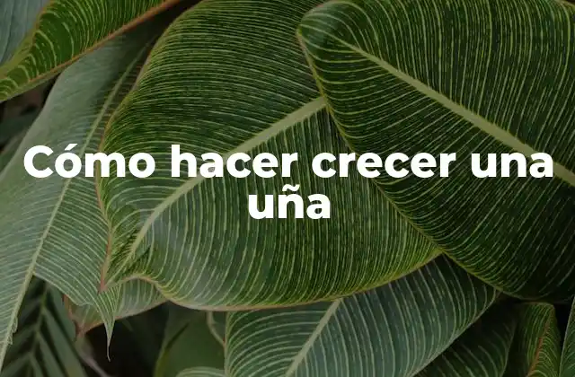 Cómo Hacer Crecer una Uña 2 Cómo hacer crecer una uña