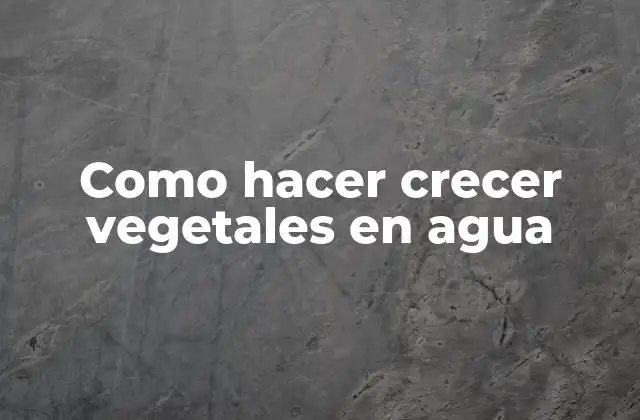 Como Hacer Crecer Vegetales en Agua