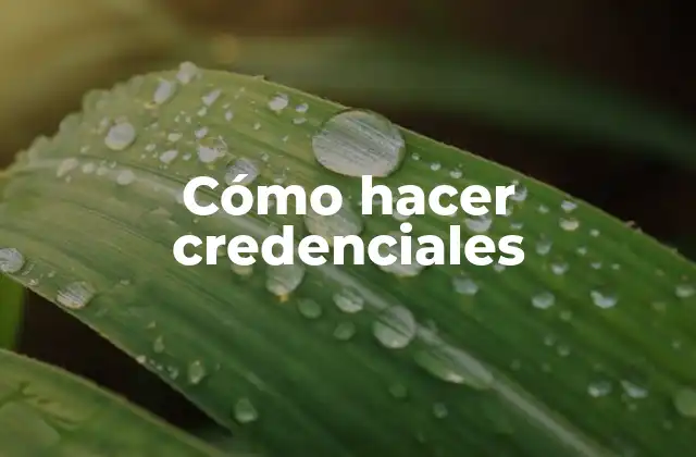Cómo Hacer Credenciales