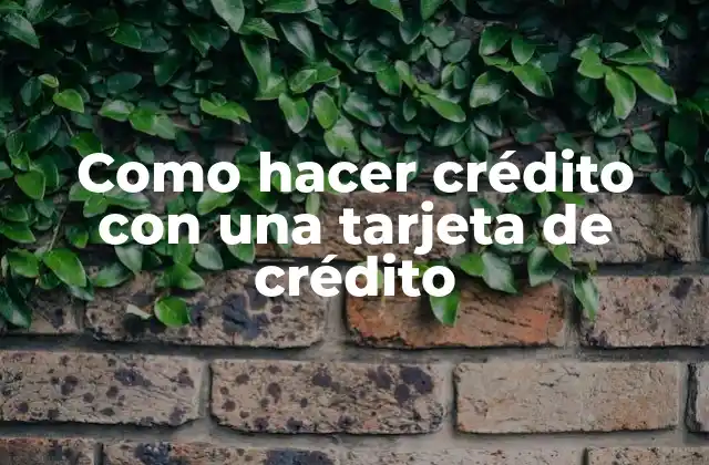 Como Hacer Crédito con una Tarjeta de Crédito