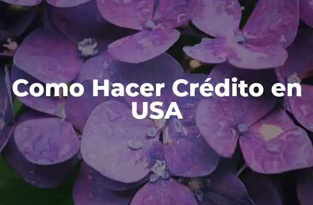 Como Hacer Crédito en Usa