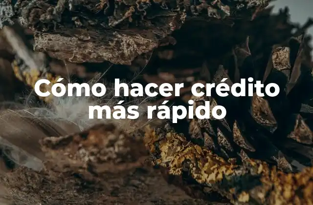 Cómo Hacer Crédito Más Rápido