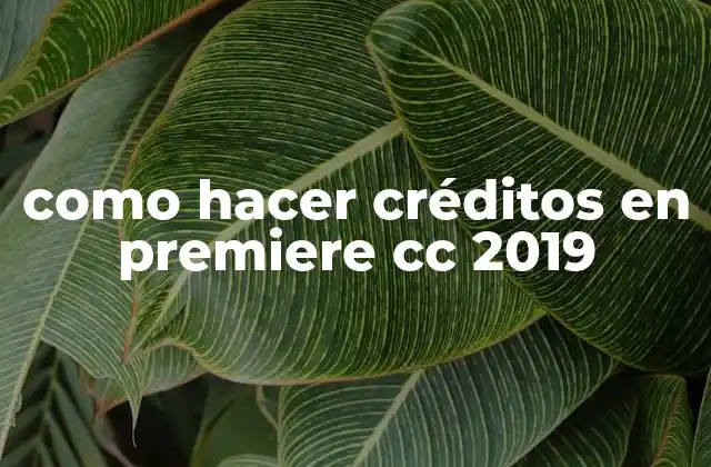 Como Hacer Créditos en Premiere Cc 2019