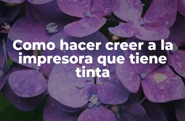 Como Hacer Creer a la Impresora que Tiene Tinta
