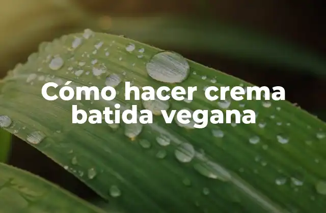 Cómo Hacer Crema Batida Vegana