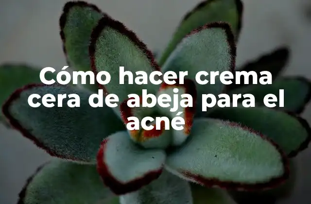 Cómo Hacer Crema Cera de Abeja para el Acné