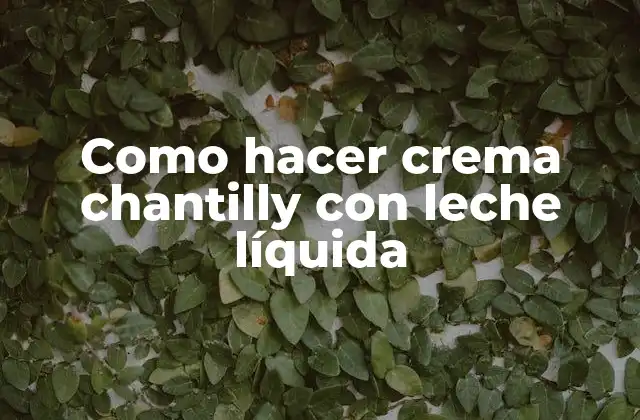 Como Hacer Crema Chantilly con Leche Líquida