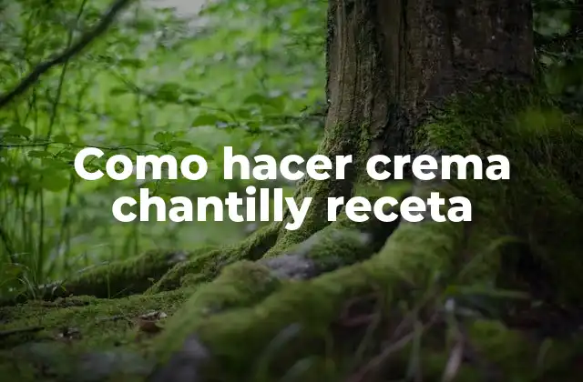 Crema chantilly, una deliciosa y suave guarnición para tus postres